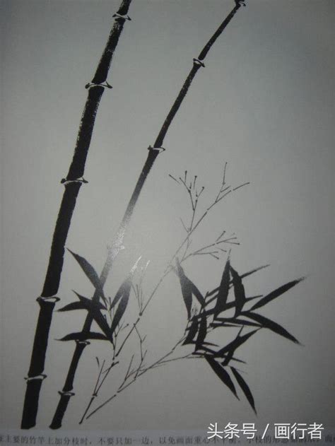 國畫竹子佈局 水的形狀
